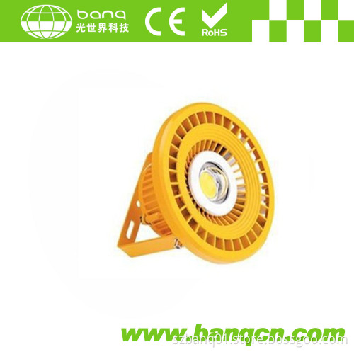 80W LED Flood Light (BQFL-BC300-80W)